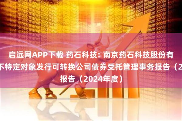 启远网APP下载 药石科技: 南京药石科技股份有限公司向不特定对象发行可转换公司债券受托管理事务报告（2024年度）
