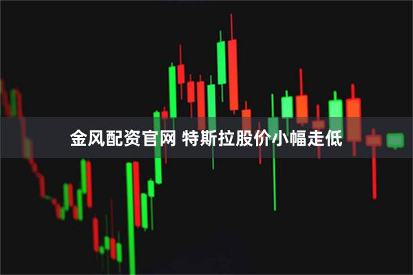 金风配资官网 特斯拉股价小幅走低