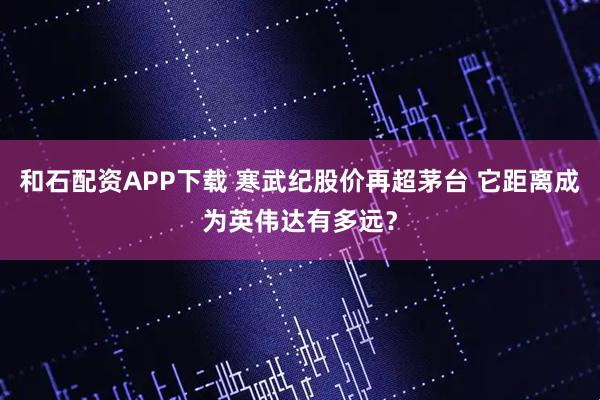 和石配资APP下载 寒武纪股价再超茅台 它距离成为英伟达有多远？