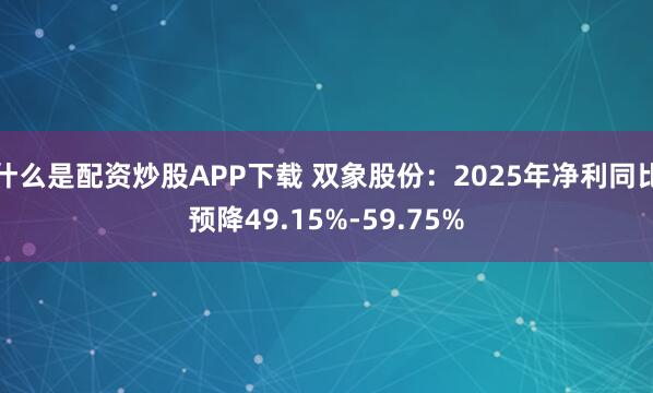 什么是配资炒股APP下载 双象股份：2025年净利同比预降49.15%-59.75%