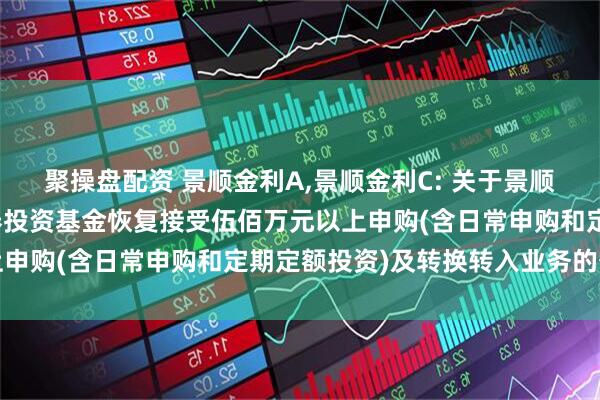 聚操盘配资 景顺金利A,景顺金利C: 关于景顺长城四季金利债券型证券投资基金恢复接受伍佰万元以上申购(含日常申购和定期定额投资)及转换转入业务的公告